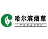 哈尔滨卷烟物流配送中心前期咨询和工艺设计